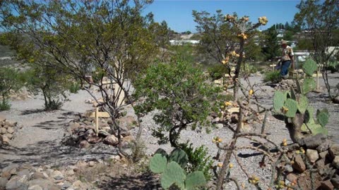 Boothill Grave Yard in Tombstone AZ