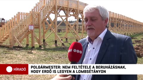 Ettől kiégsz, lombsétány "derékmagasságban" Ja, hogy mi? Fa? Hát az nincs!