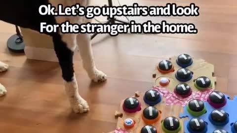 Documentary: puppies press the sound button