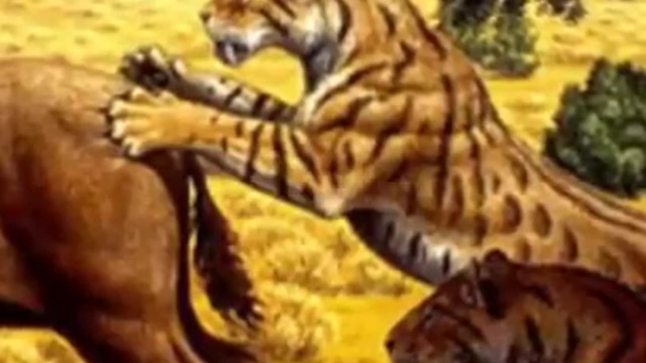 Saber-toothed
