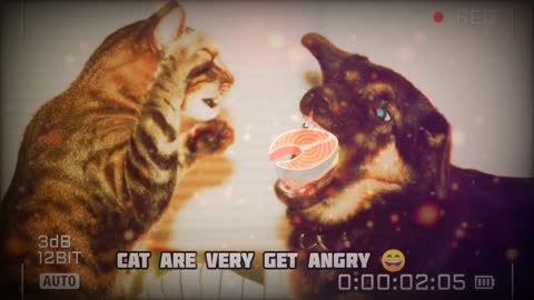 Cat are Really Very very angry but eating fish on Dog