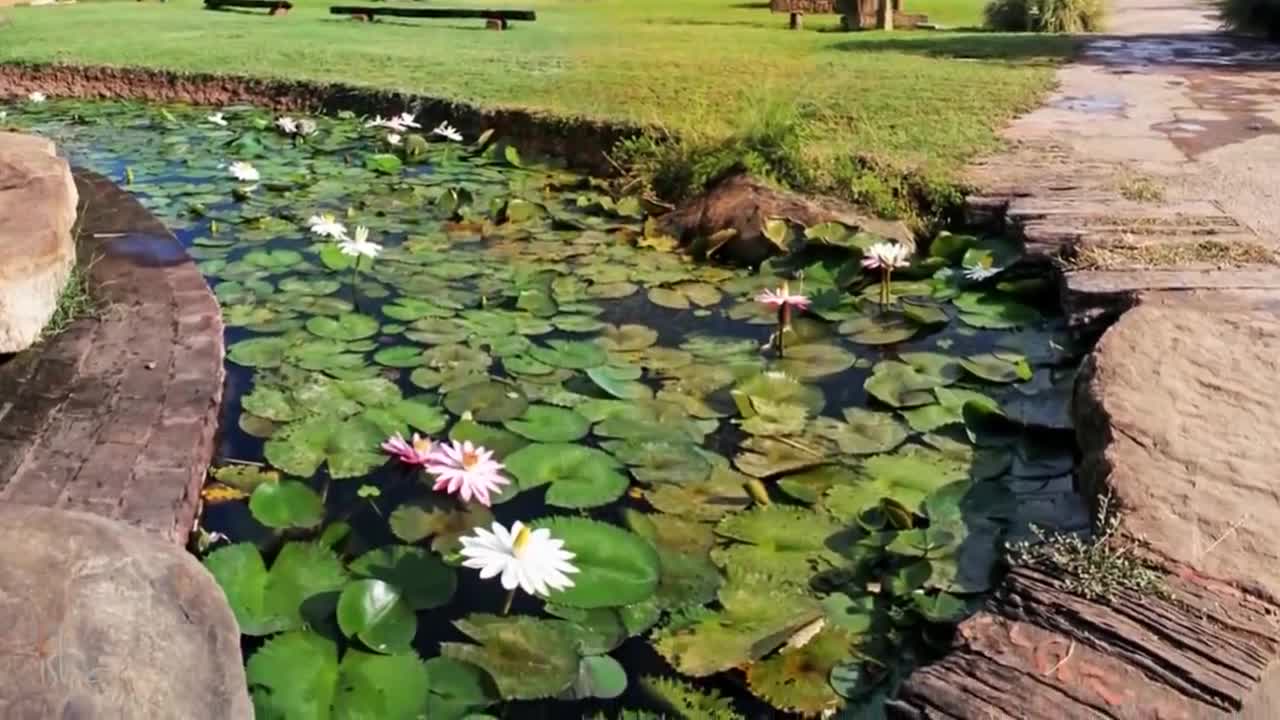 Relaxing Music for Stress Relief | एक मधुर धुन, मन की शांति के लिए | Sadhguru Hindi