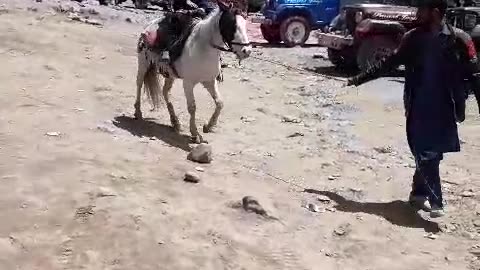 Horse riding