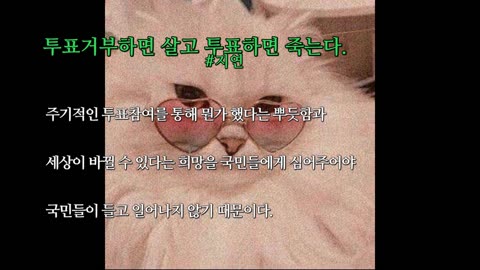 투표거부하면 살고 투표하면 죽는다. #지연