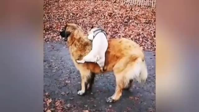 A FRIEND IN NEED IS A FRIEND INDEED