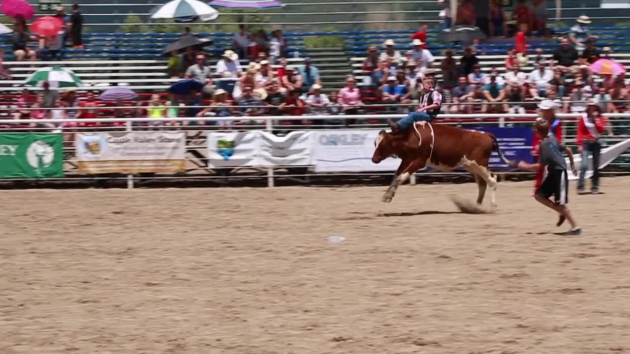 boy calf riding in childrens rodeo