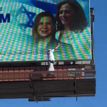 Kamala Harris put up her PRO-ISRAEL sign in the biggest Muslim population city of Dearborn Michigan