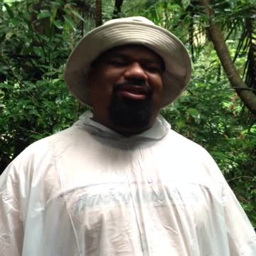 Man Throws Shade At Rainforest