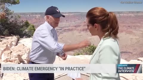 Biden Brushes BUG Off Meteorologist's Chest To Avoid Question