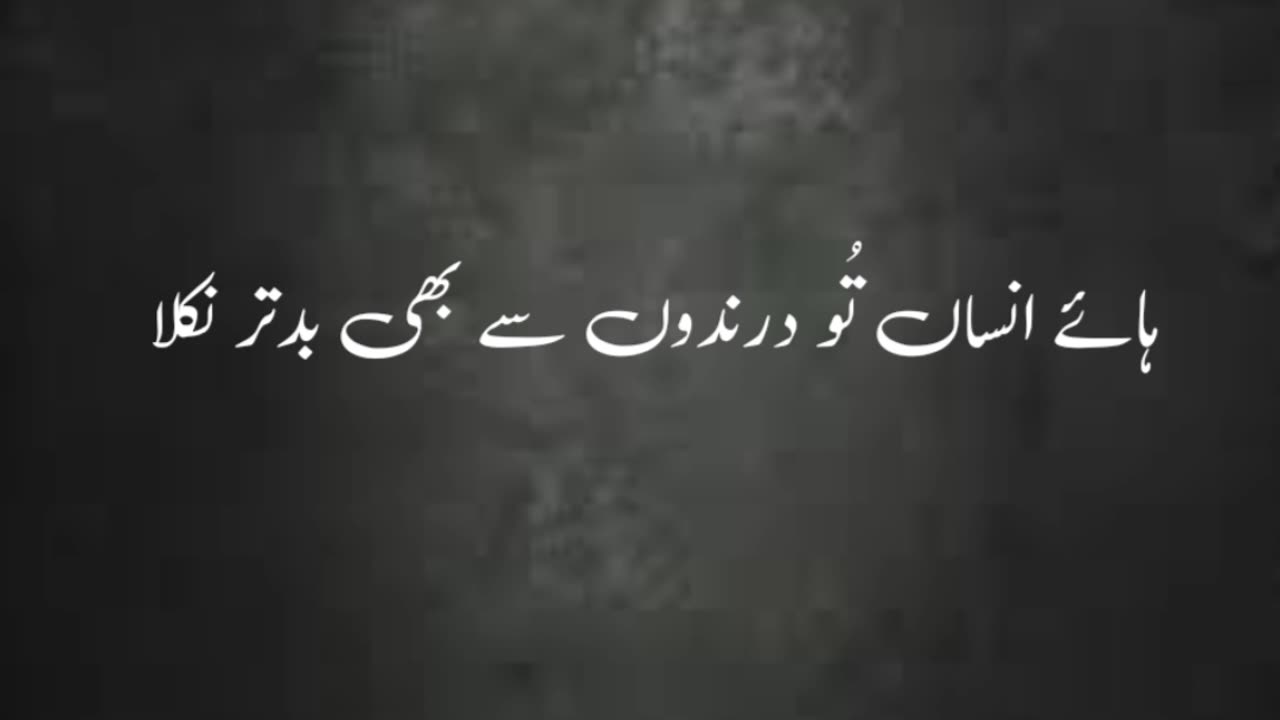 Hayyy Insan ....... Urdu poetry states shayari