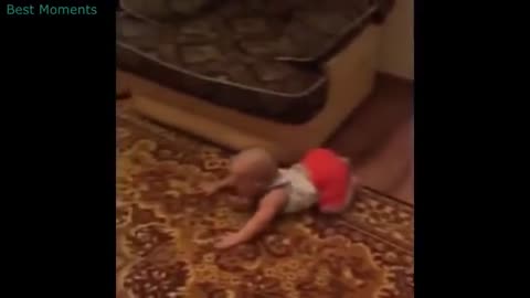 Funny Videos || Try not To Laugh || Impossible||🤣🤣🤣😅😅😅