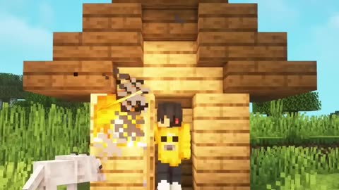 Dog emaizing video