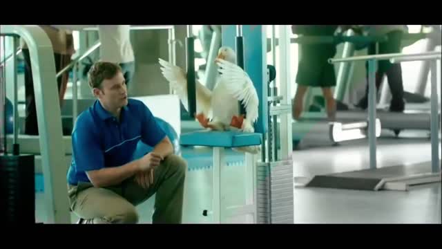 FUNNY BEST MOTIVATIONAL