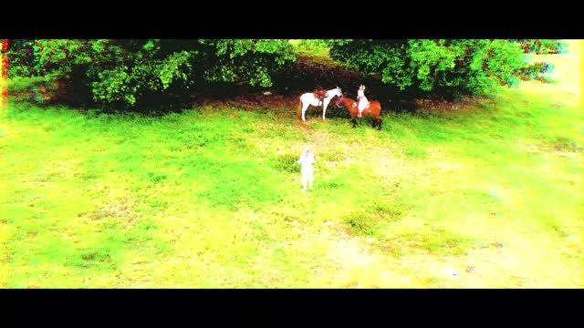 PASKA - NEVER BE ENOUGH (Official Music Video)