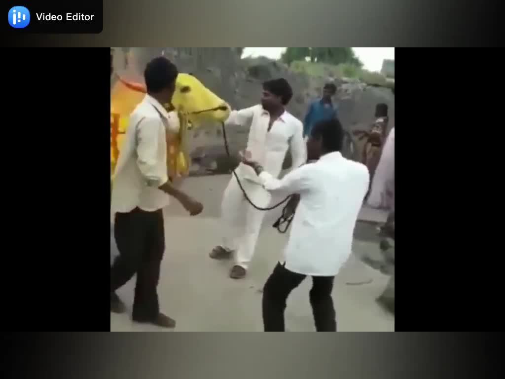 Random viral funny videos & Best videos 2021