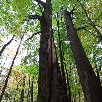 Middlefield ohio fall 2023!