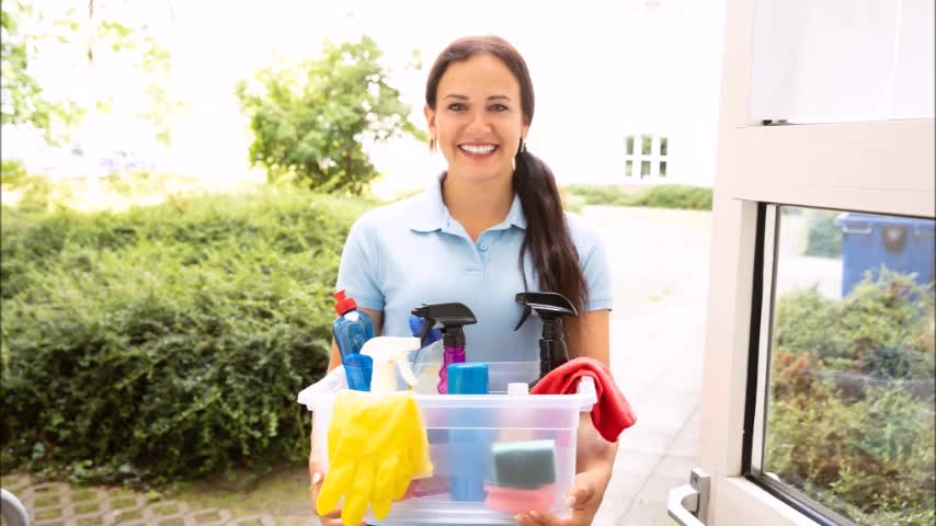Elena Pro Cleaning Services - (818) 532-9072