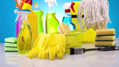 The Handy Lady - (910) 208-0187