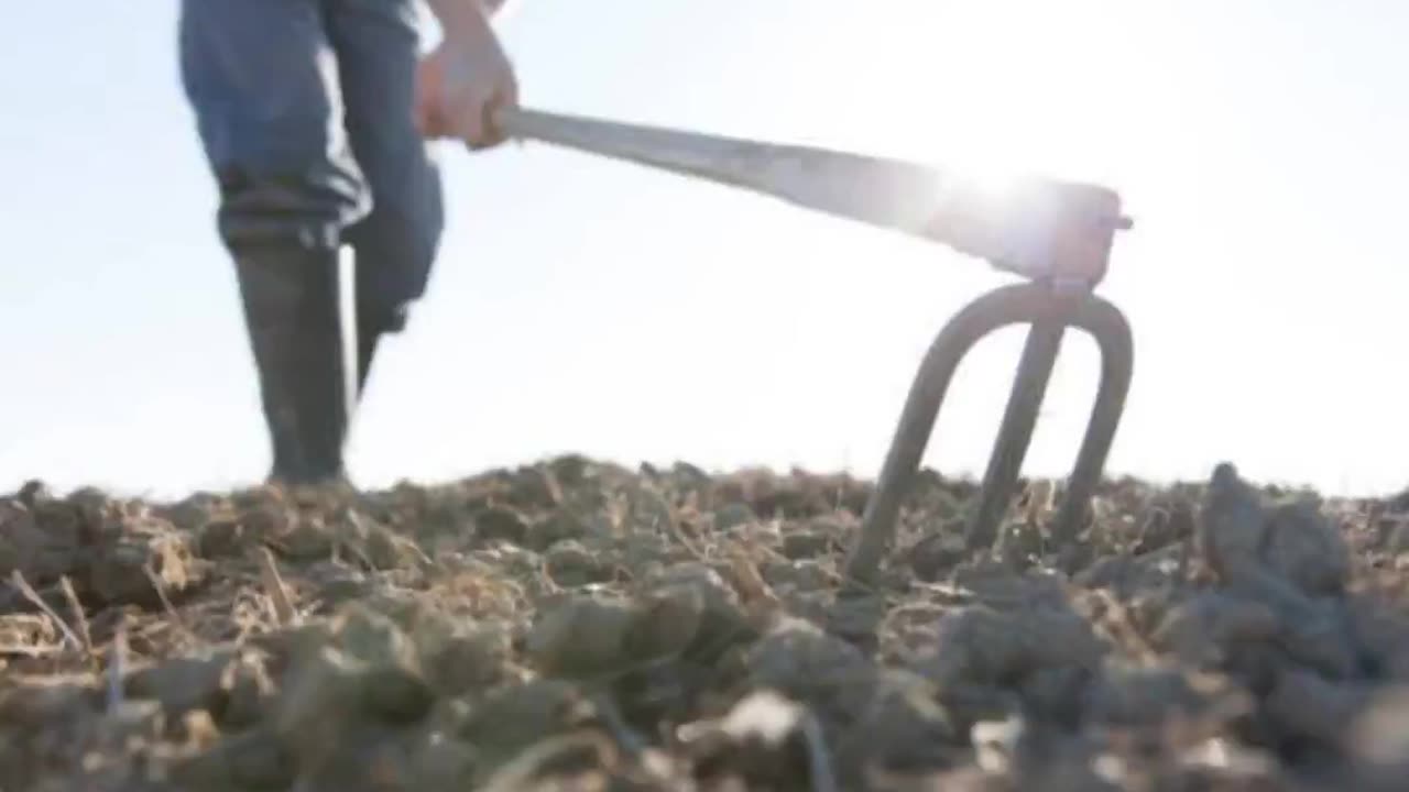 Hands on the Plow by Town Hall