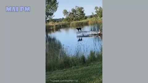 Funny 2021 video clips 7