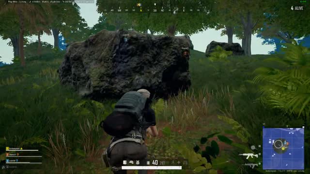 Eat chicken tonight.