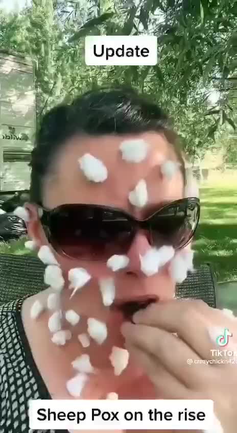 PARODY: Sheep Pox [Hilarious!]