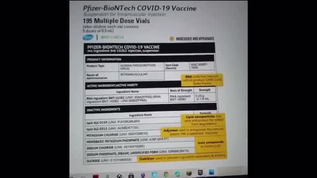 Ingredients of nanoparticles COVID19 Vaccine