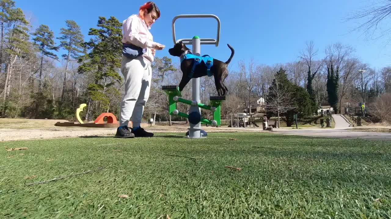 I can't describe how excited I am that this worked - Funny Dog