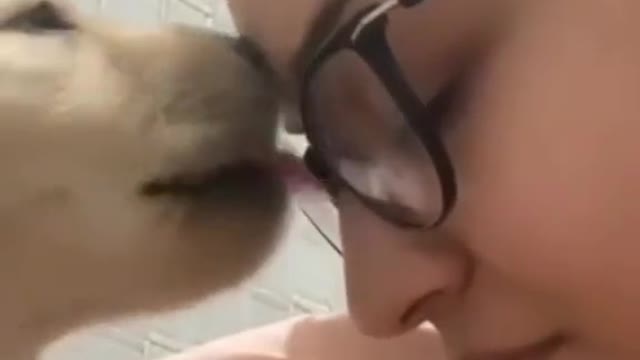 See how a dog is in love with a girl.
