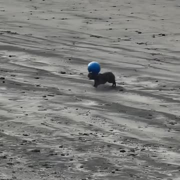 They crowned Messi as the best player for 2023...here's competition for 2024 🙂