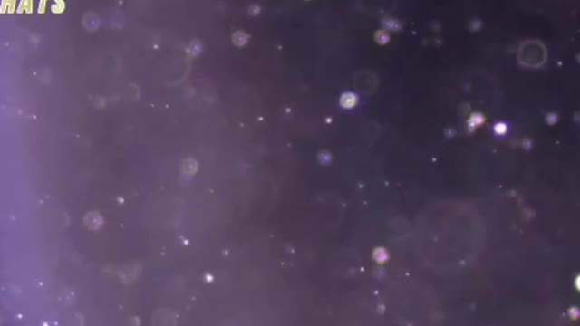 INSIDE THE DEATH VAX