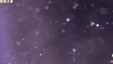 INSIDE THE DEATH VAX