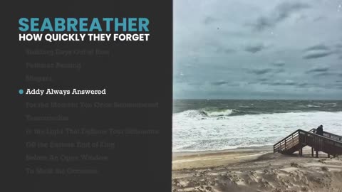 Seabreather,How quickly they forget