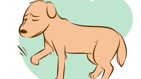 How to tell if your Dog is Dying!