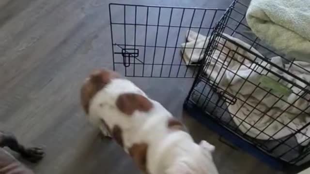 When you walk up with your food, they all come around