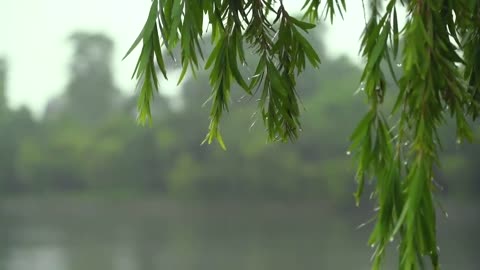 3 hours of healing music to clear the head - Music to relieve stress - Morning meditation music