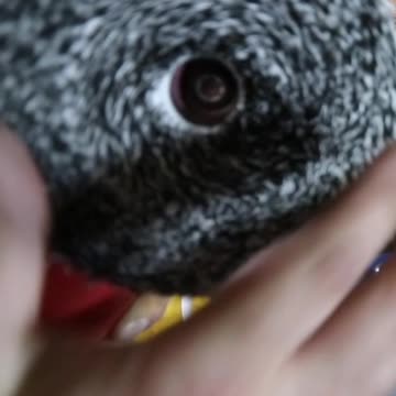 Buffing/polishing pads washing methods