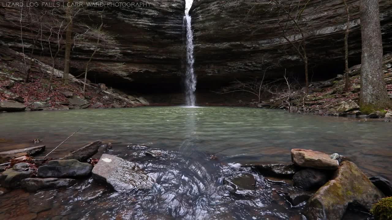 Lizard Log Falls