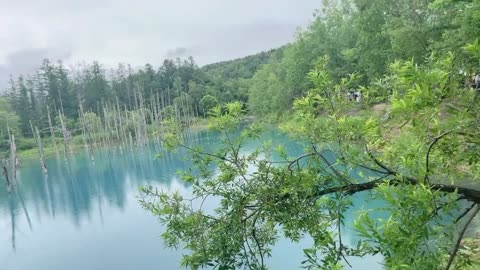 Blue pond