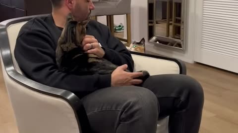 I_HAVE_THE_WORLDS_MOST_JEALOUS_CAT_😹_#shorts(720p