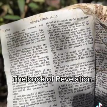 Ο «βιβλικός οιωνός» που βρέθηκε στα συντρίμμια τυφώνα στις ΗΠΑ και αφορά την Αποκάλυψη