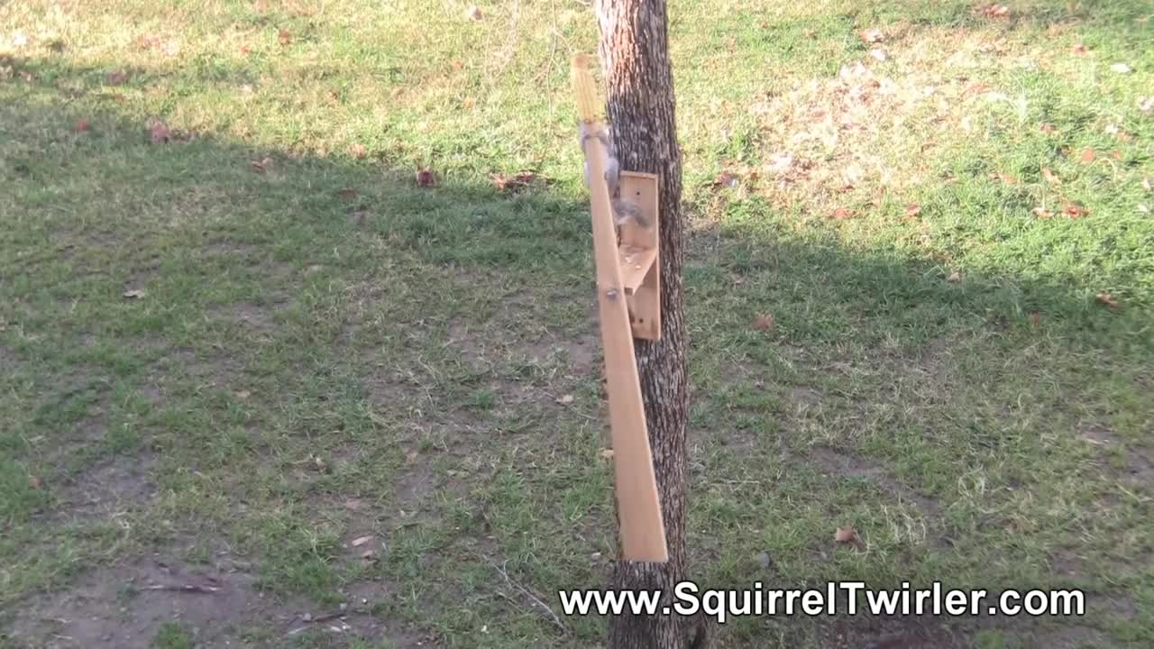 Squirrel Twirler - Spinning Squirrel Feeder