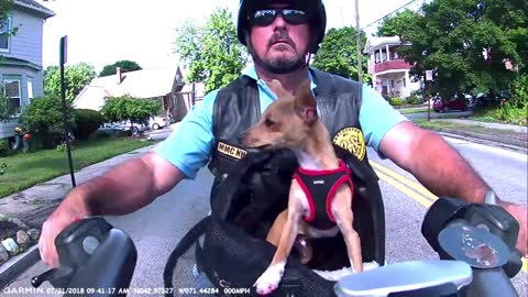 Dude and Dog Go Riding