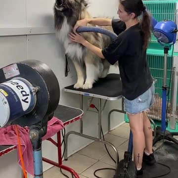 The CALL of the WILD