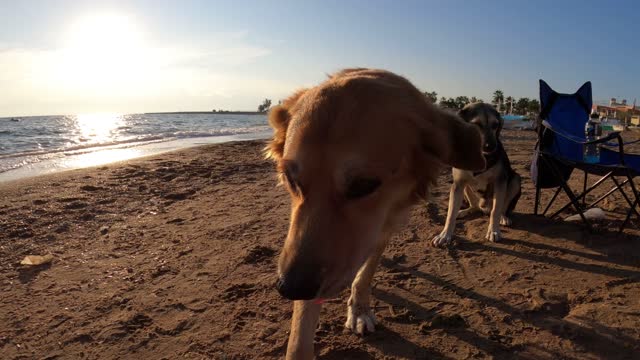 meeting friends in the sea breeze