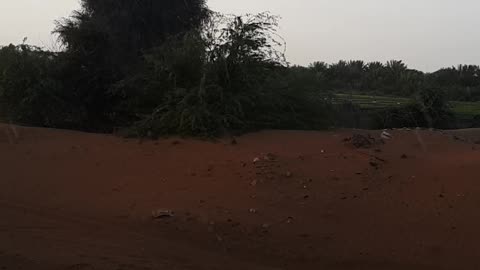 Rain in Desert