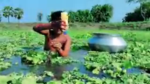 Natural technique for fish hunting