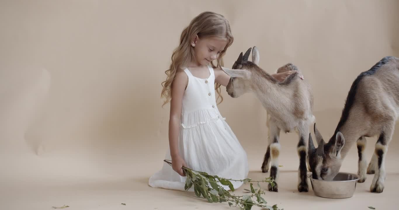 Most Funny and Cute Baby Goat Videos Compilation