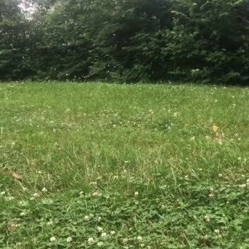 Into To Thick Of It!💫