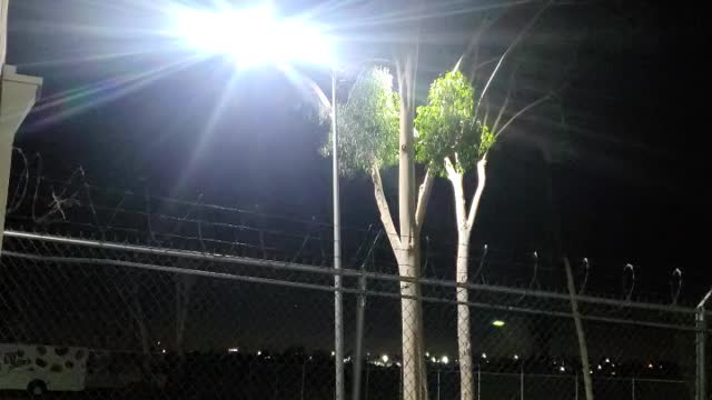 Late night view